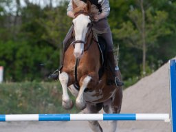 IMG_0692_web
